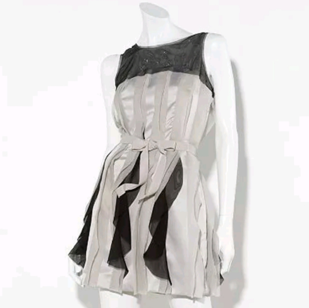 Flirty Fun Dress